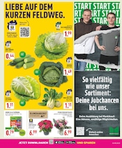 Pflanzen im Marktkauf Prospekt in Hagen Aktueller Marktkauf Prospekt mit Pflanzen, "Aktuelle Angebote", Seite 3