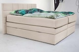 Aktuelles Boxspringbett AYDA Angebot bei Trends in Dortmund ab 1.199,00 €