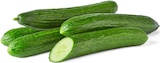 Bio-Gurke von Naturgut im aktuellen Penny Prospekt für 1,29 €