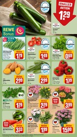 Pflanzen im REWE Prospekt in Weiden Aktueller REWE Prospekt mit Pflanzen, "Dein Markt", Seite 7