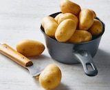 Pomme de terre de consommation lavee - Super U à Montpellier Pomme de terre de consommation lavee en promo chez Super U Montpellier à 3,39 €