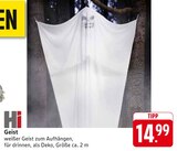 Geist Angebote von Hi bei E center Bad Kreuznach für 14,99 €