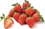 Promo Fraise à 3,29 € dans le catalogue Lidl à Tarbes