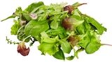 REWE Siegburg - Wildkräuter Salat Angebot im Prospekt Wildkräuter Salat bei REWE im Siegburg Prospekt für 1,19 €
