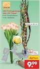 Aktuelles LED Frühlingszweige oder LED Tulpen Angebot bei Netto Marken-Discount in Magdeburg ab 9,99 €