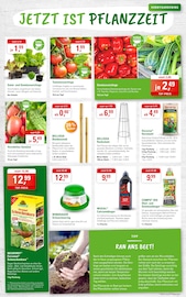 Paprika im ZG Raiffeisen Prospekt in Weinheim Aktueller ZG Raiffeisen Prospekt mit Paprika, "MUTTERTAG - JETZT ANS SCHENKEN DENKEN", Seite 5