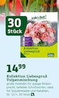 Kollektion Liebesgruß Tulpenmischung im aktuellen Pflanzen Kölle Prospekt