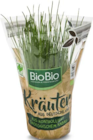 Netto Marken-Discount Gerstetten - Kräutertöpfe Angebot im Prospekt Kräutertöpfe bei Netto Marken-Discount im Gerstetten Prospekt für 1,29 €
