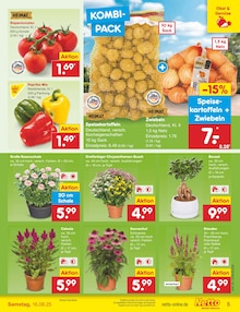 Kartoffeln im aktuellen Netto Marken-Discount Prospekt (Erfurt) Kartoffeln im Netto Marken-Discount Prospekt "Aktuelle Angebote" mit 57 Seiten (Erfurt)