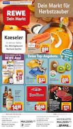 Der aktuelle REWE Prospekt Dein Markt