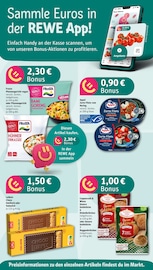 Fertiggerichte im REWE Prospekt in Halle Aktueller REWE Prospekt mit Fertiggerichte, "Dein Markt", Seite 2