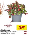 Angebot im toom Baumarkt Schwanewede Prospekt toom Baumarkt Schwanewede Prospekt mit  im Angebot für 3,49 €