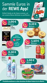 Ähnliche Angebote wie Vittel im Prospekt "Dein Markt" auf Seite 2 von REWE in Wiesbaden