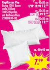 Aktuelle Kopfkissen Angebote bei SB Möbel Boss in Osnabrück Aktuelles Kopfkissen Pia Angebot bei SB Möbel Boss in Osnabrück ab 7,99 €
