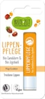 Lippenpflege von BLÜTE ZEIT im aktuellen Netto Marken-Discount Prospekt