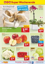 Aktueller Netto Marken-Discount Prospekt mit Orchidee, "Aktuelle Angebote", Seite 36