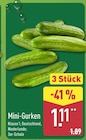 Mini-Gurken im aktuellen ALDI Nord Prospekt