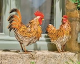 Coq ou poule en métal en promo chez U Express Lyon à 14,99 €