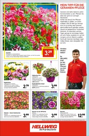Aktueller Hellweg Prospekt mit Blumen, "Die Profi-Baumärkte", Seite 20