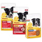 SUR TOUTES LES CROQUETTES POUR CHIEN - CARREFOUR COMPANINO VITALIVE - Carrefour à Levallois-Perret SUR TOUTES LES CROQUETTES POUR CHIEN - CARREFOUR COMPANINO VITALIVE en promo chez Carrefour Levallois-Perret