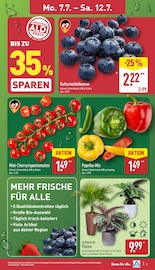 Palme im ALDI Nord Prospekt in Goslar Aktueller ALDI Nord Prospekt mit Palme, "Aktuelle Angebote", Seite 3