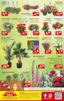 Sonnenschirm Angebot im aktuellen Zimmermann Prospekt auf Seite 10