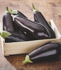 Promo Aubergine à 1,79 € dans le catalogue Intermarché à Fontaine-lès-Dijon