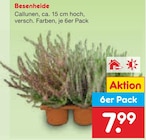 Besenheide im Angebot bei Netto Marken-Discount in Braunschweig Besenheide Angebote bei Netto Marken-Discount Braunschweig für 7,99 €