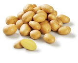 Lidl Chancelade - Promo Pomme de terre frite Promo Pomme de terre frite à 1,09 € dans le catalogue Lidl à Chancelade