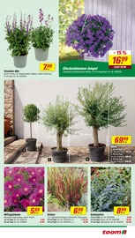 Aktueller toom Baumarkt Prospekt mit Mixer, "Respekt, wer's selber macht.", Seite 9