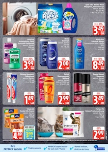 Waschmittel im aktuellen EDEKA Prospekt (Hamburg) Waschmittel im EDEKA Prospekt "Top Angebote" mit 24 Seiten (Hamburg)