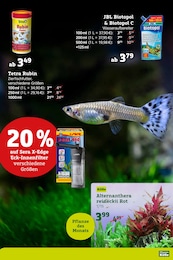 Aquarium Angebot im aktuellen Pflanzen Kölle Prospekt auf Seite 5