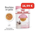Maxi Zoo Jacou - Promo ROYAL CANIN Kitten en gelée 12x85 g Promo ROYAL CANIN Kitten en gelée 12x85 g à 16,99 € dans le catalogue Maxi Zoo à Jacou