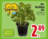 Bio-Basilikum XXL  im aktuellen EDEKA Prospekt für 2,49 €