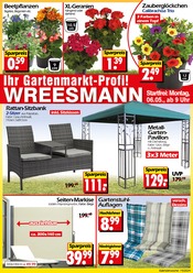 Aktueller Wreesmann Sonderposten Prospekt in Berumbur und Umgebung, "Aktuelle Angebote" mit 40 Seiten, 06.05.2024 - 10.05.2024