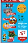 Calluna-Beauty-Ladies-Trio im ALDI SÜD Prospekt Calluna-Beauty-Ladies-Trio von im aktuellen ALDI SÜD Prospekt für 1,79 €