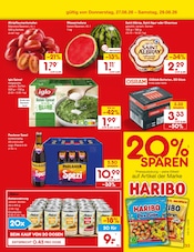Batterie im Netto Marken-Discount Prospekt in Witten Aktueller Netto Marken-Discount Prospekt mit Batterie, "Aktuelle Angebote", Seite 47