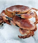 Tourteau vivant - Intermarché à Nantes Tourteau vivant en promo chez Intermarché Nantes à 11,90 €