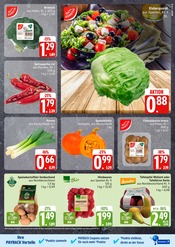 Kartoffeln im EDEKA Prospekt in Seevetal Aktueller EDEKA Prospekt mit Kartoffeln, "Top Angebote", Seite 5