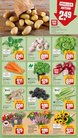 Knoblauch im REWE Prospekt in Neuss Aktueller REWE Prospekt mit Knoblauch, "Dein Markt", Seite 7