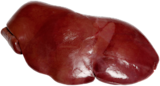 Aktuelle Rindfleisch Angebote bei METRO in Bochum Aktuelles Kalbsleber hell Angebot bei METRO in Bochum ab 10,69 €
