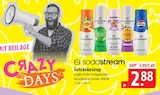 famila Nordost - Pfirsich Ice Tea Angebot im Prospekt Pfirsich Ice Tea bei famila Nordost im Prospekt "" für 2,88 €