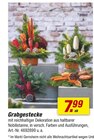 Grabgestecke bei toom Baumarkt im Norden Prospekt für 7,99 €