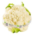 Bio Blumenkohl Angebote von REWE Bio bei REWE Weinheim für 2,49 €