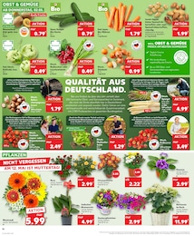 Chrysantheme im Kaufland Prospekt Aktuelle Angebote auf S. 10