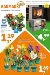 Prospectus Globus-Baumarkt à Thionville "GLOBUS BAUMARKT Immer eine Idee besser", 16 pages, 23/02/2026 - 27/02/2026