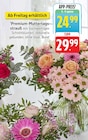 EDEKA Bad Schwalbach Prospekt mit  im Angebot für 24,99 €