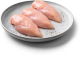 Netto Marken-Discount Bergen - Hähnchen-Brustfilet Angebot im Prospekt Hähnchen-Brustfilet bei Netto Marken-Discount im Bergen Prospekt für 4,99 €