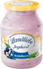 Joghurt Heidelbeere Angebote von Landliebe bei EDEKA Neumünster für 0,99 €