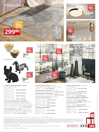 Blumentopf Angebot im aktuellen XXXLutz Möbelhäuser Prospekt auf Seite 12